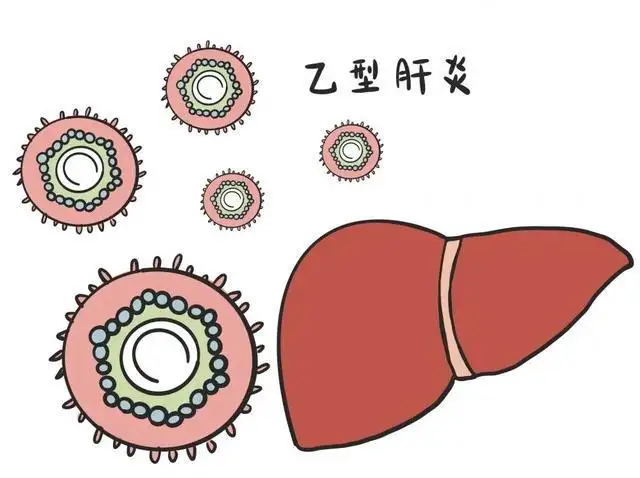 男朋友有乙肝接吻能傳染我嗎？